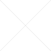 What are the differences between plastic steel windows and metal windows